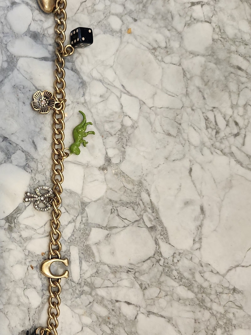 Coach Gold-Tone Charm Bracelet with Red Cherry and Black Spider Accents - Picture 2 of 5